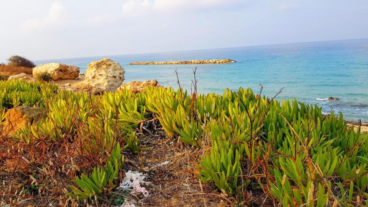 Dahan Sirena Lighthouse Luxury Apartment Paphos Extérieur photo